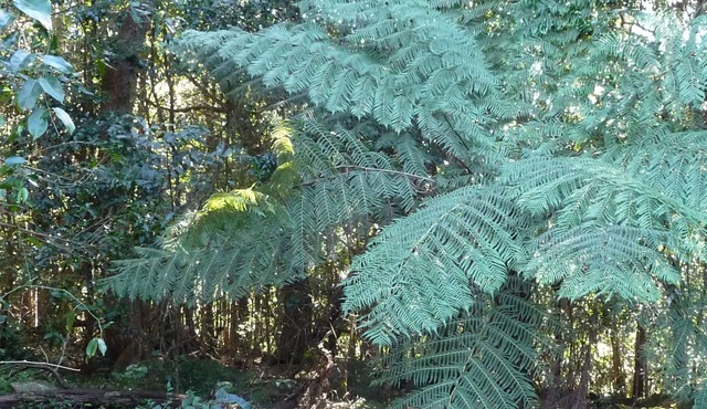 Tuscany at Berry Mountain