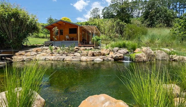 Tweed Hinterland Eco-Cabin