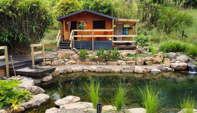 Tweed Hinterland Eco Cabin