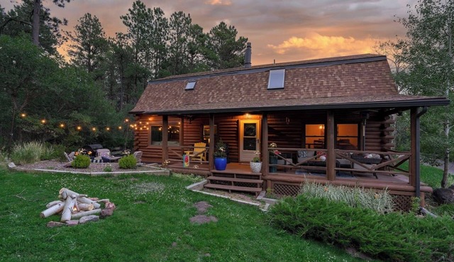 Twiggy Pines Magical Modern Cabin Get-Away