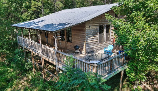 Twin Cedars Cabin in the Woods! Birders paradise near Sipsey and Bankhead