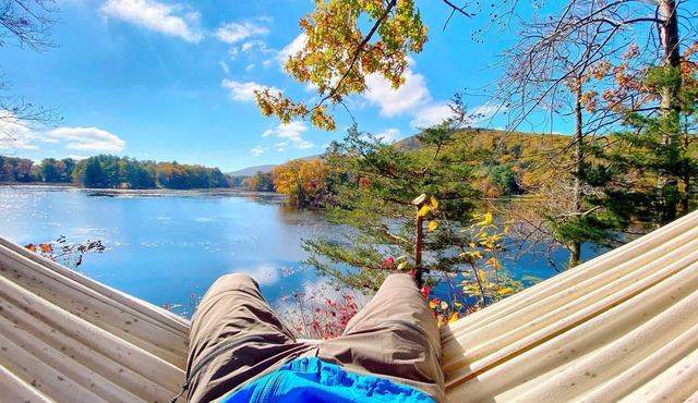 Twin Island Lake Private Island