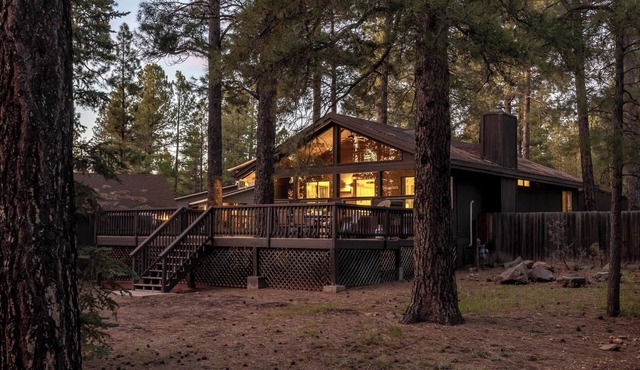 Twin Pines Cabin with Fireplace