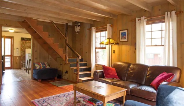 Twin Rock Tree House - Vintage Cabin