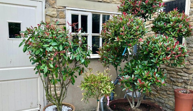 Twin Room The Anvil Bed and Breakfast