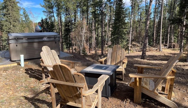 Twin Springs Cabin-Private Hot Tub!