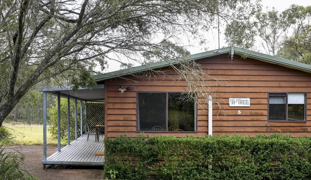 Twin Tree Cabin 5 - 2 bedroom with 2 x queen beds