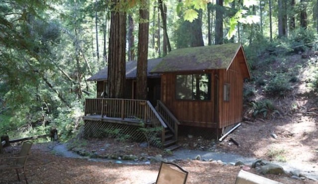 "Twin Trees" Cabin River Access In Redwoods WiFinn