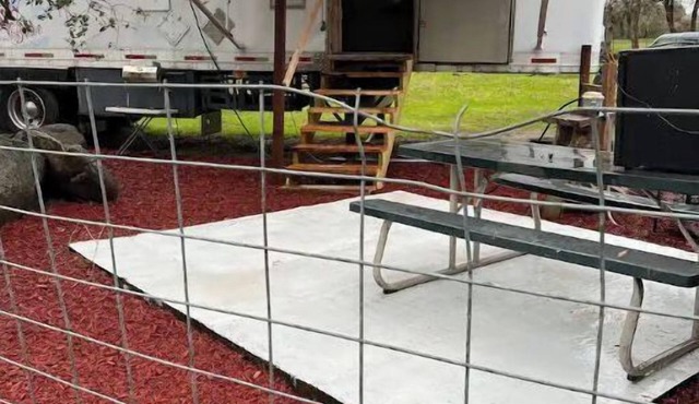 Twisted oaks forest cottage, Squaw Valley california