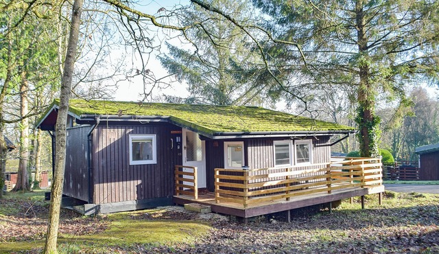 Twit Too Woo - UK6760