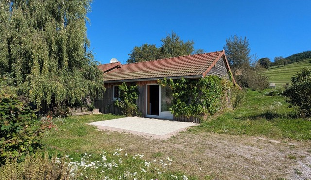 Two adjoining ecological chalets, sleeps 9, with Jacuzzi spa, Vosges mountains