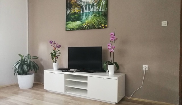 Two bedroom apartment with terrace Smoljanac (Plitvice) (A-14979-b)