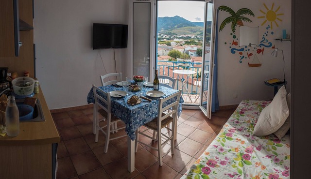 Two-bedroom apartment in the center of Banyuls with mountain views. Near train station and shops