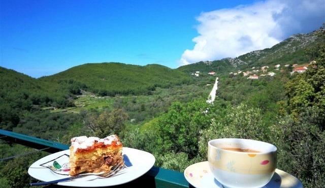 Two bedroom apartment with balcony Babino Polje, Mljet (A-22323-a)