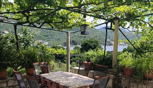 Two bedroom apartment near beach Zaton Mali, Dubrovnik (A-8997-a)