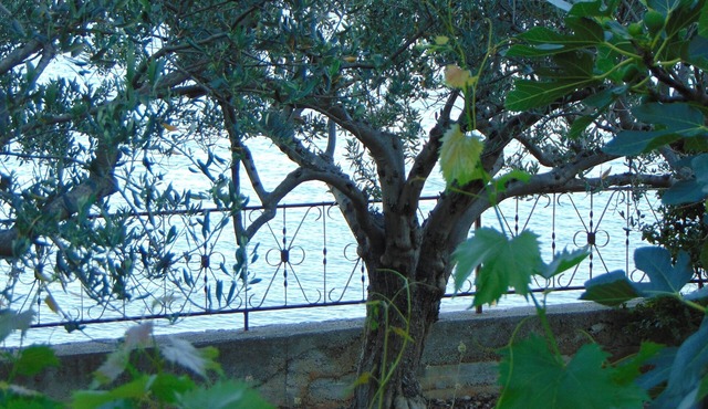 Two bedroom apartment near beach Seget Donji, Trogir (A-19351-b)