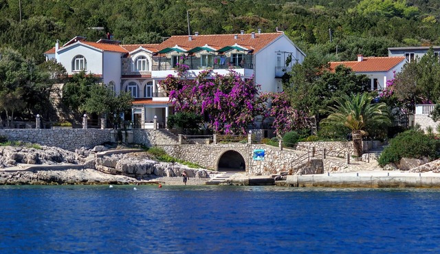 Two bedroom apartment near beach Cove Pokrivenik (Hvar) (A-10419-c)