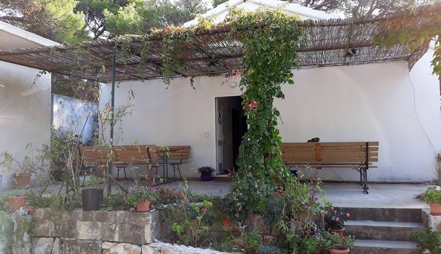 Two bedroom apartment with terrace Cove Blaca, Mljet (A-4899-e)