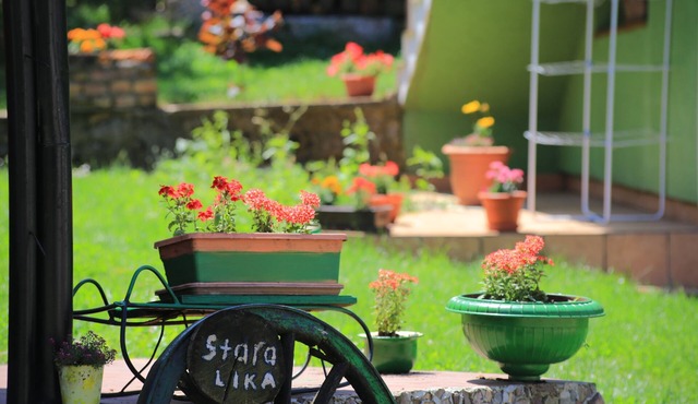 Two bedroom apartment (pet friendly) Perušić, Velebit (A-17540-a)