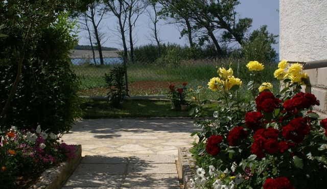 Two bedroom apartment with terrace and sea view Povljana, Pag (A-230-a)