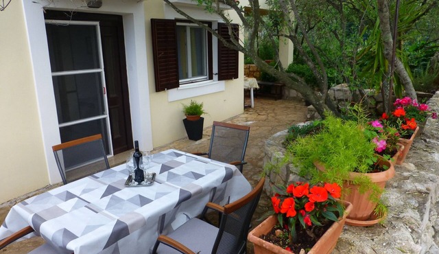 Two bedroom apartment with terrace Mali Iž, Iž (A-16535-b)