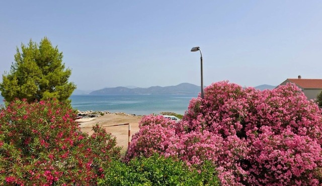 Two bedroom apartment near beach Drače, Pelješac (A-4550-a)