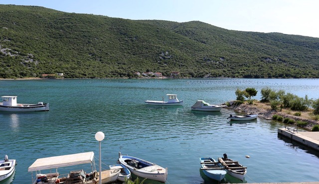 Two bedroom apartment near beach Brijesta, Pelješac (A-10223-a)