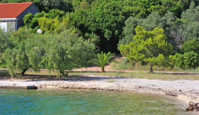 Two bedroom apartment near beach Brijesta, Pelješac (A-10223-c)