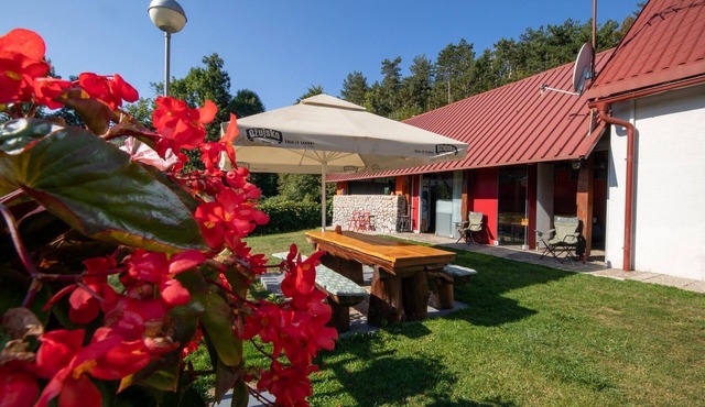 Two bedroom apartment with terrace Lič, Gorski kotar (A-23685-a)