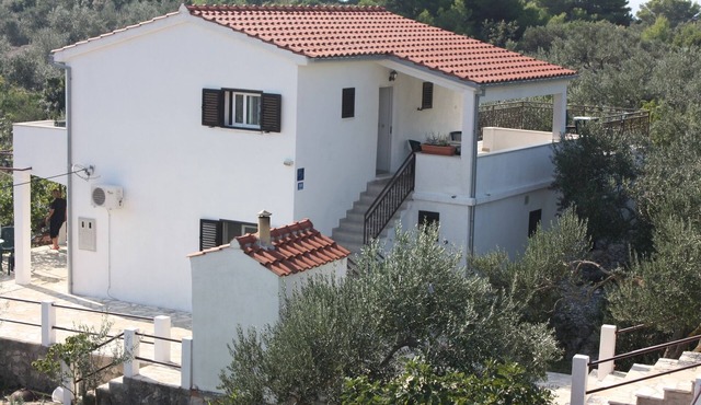 Two bedroom apartment with terrace and sea view Maslinica, Šolta (A-5184-a)