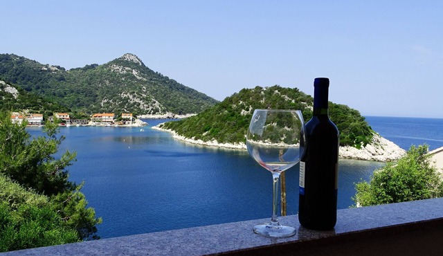 Two bedroom apartment with balcony and sea view Zaklopatica (Lastovo) (A-12452-a)