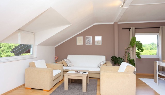 Two bedroom apartment with terrace Slunj (Plitvice) (A-16905-a)