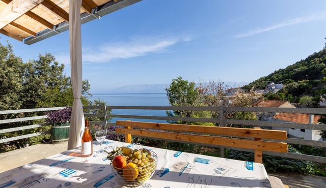 Two bedroom apartment with terrace and sea view Cove Pobij, Hvar (A-7506-a)