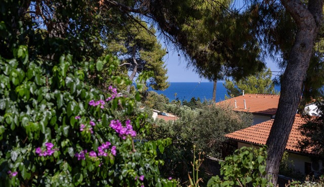 Two bedroom apartment with terrace and sea view Zavala (Hvar) (A-8710-b)