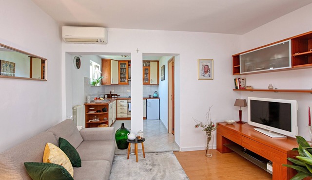 Two bedroom apartment with terrace Tisno, Murter (A-815-c)