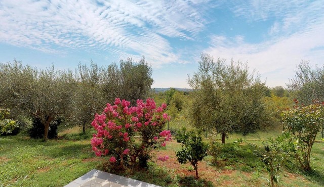 Two bedroom apartment with terrace Vilanija, Umag (A-17240-a)