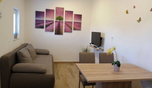 Two bedroom apartment with terrace Nin, Zadar (A-6125-a)