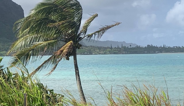 Two Bedroom Beachside Loft at Crouching Lion