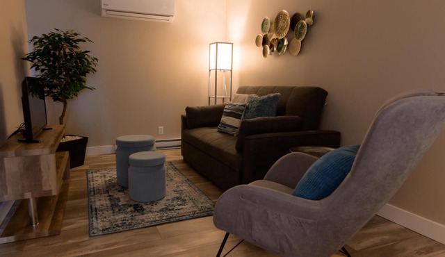 Two-bedroom flat + sofa bed in the city centre (Le Court-toit)