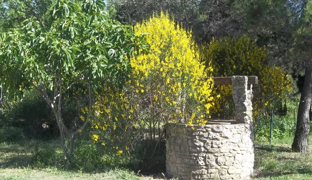 Two bedrooms, in the countryside, near Avignon.