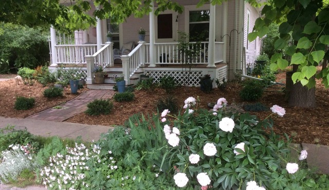 Two bright rooms in charming 1910 Old Town cottage.