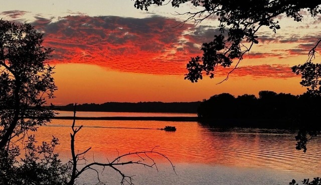 TWO Charming Lake Miltona Cabins! Compound! Pontoon available! WALLEYES! #2131