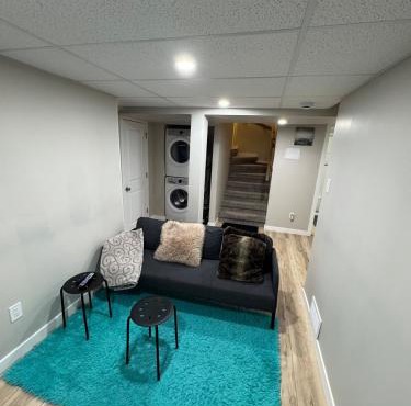 Two cozy bedroom in a modern basement