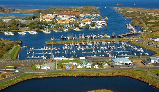 Two Family-Friendly Units! Pool, Attractions and Sauna