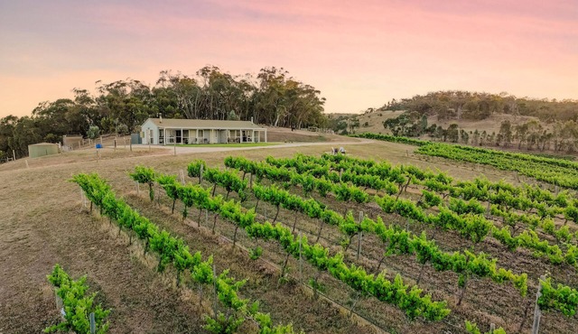 Two Fat Ponies (formerly Se7en On Sevenhill) - "The Sunset Cabin"