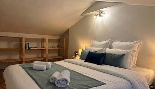 Two houses together 9 pers 15 min Puy du Fou