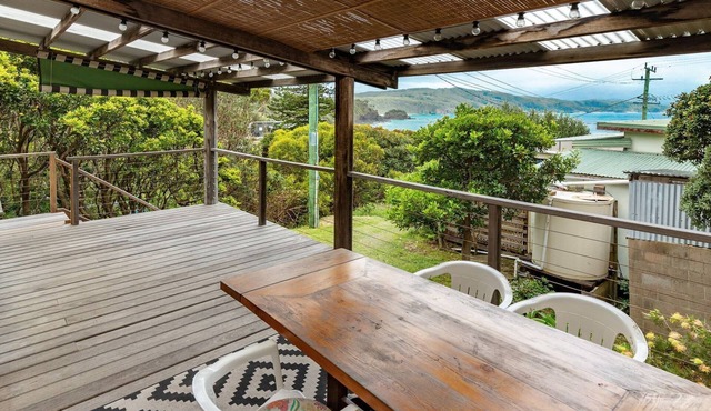 Two Many Birds - Seal Rocks