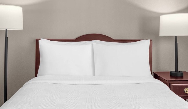 Two Relaxing Suite Retreat with Full Kitchen & On-Site Fireplace | Free Parking