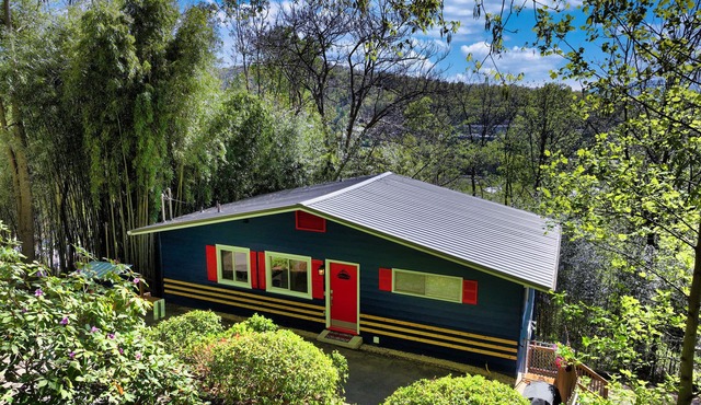 Two Separate Downtown Asheville Chalets - Zurich Mountain Chalets #9A & #9B