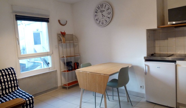 . TWO STEPS FROM LOIRE ON THE ISLAND OF NANTES.